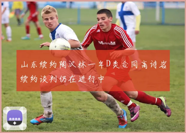 山东续约陶汉林一年D类合同高诗岩续约谈判仍在进行中